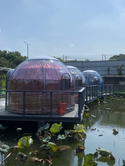 Classic transparent dome house for glamping and camping sites